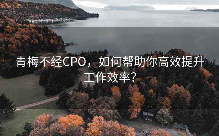 青梅不经CPO，如何帮助你高效提升工作效率？